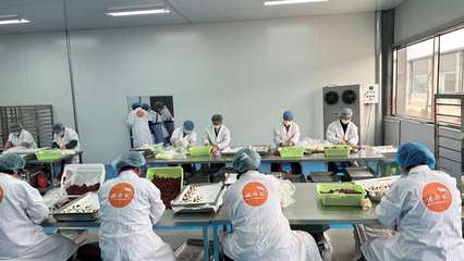 攜手阿里，智造未來 裕鑫博康借力淘工廠加速產(chǎn)業(yè)數(shù)字化升級